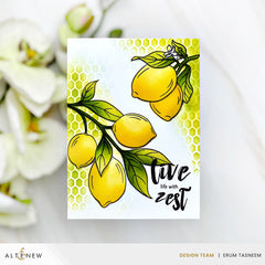 Stamp & Die & Stencil Bundle Zesty Life