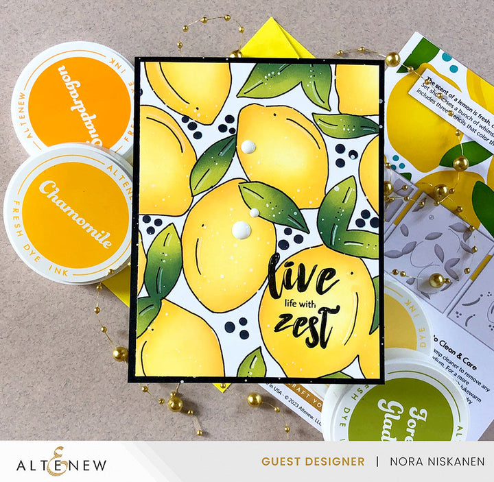 Stamp & Die & Stencil Bundle Zesty Life
