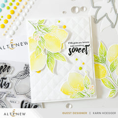 Stamp & Die & Stencil Bundle Zesty Life