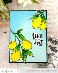 Stamp & Die & Stencil Bundle Zesty Life
