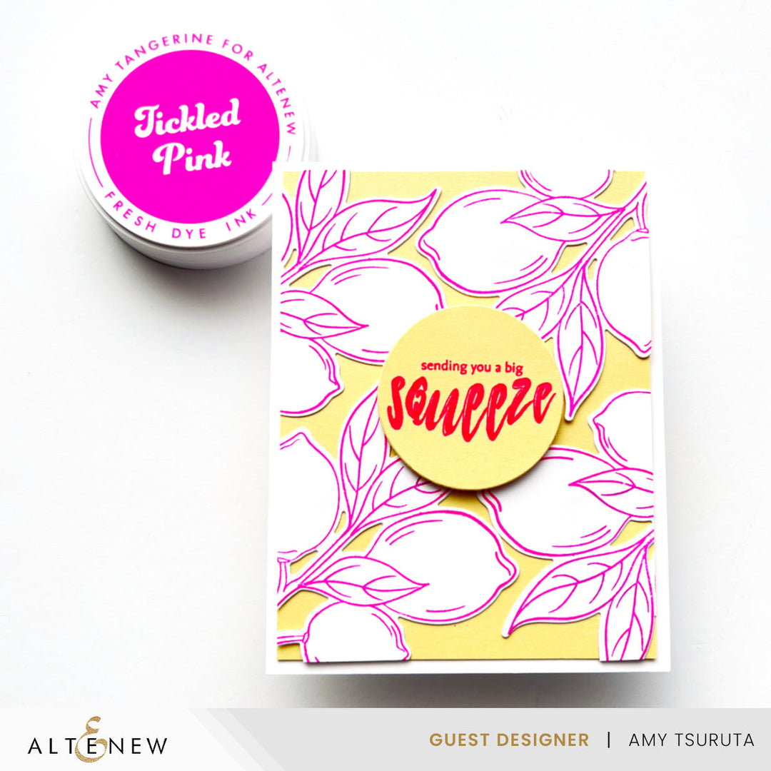 Stamp & Die & Stencil Bundle Zesty Life