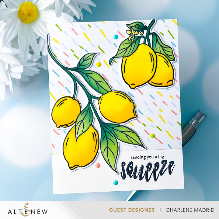 Stamp & Die & Stencil Bundle Zesty Life