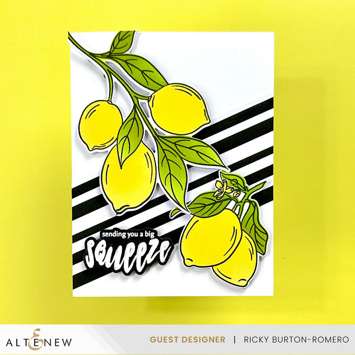 Stamp & Die & Stencil Bundle Zesty Life
