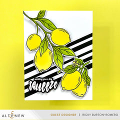 Stamp & Die & Stencil Bundle Zesty Life