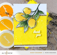 Stamp & Die & Stencil Bundle Zesty Life