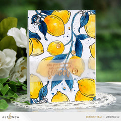 Stamp & Die & Stencil Bundle Zesty Life