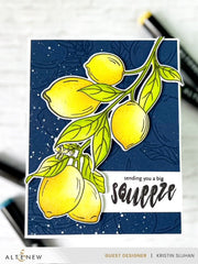 Stamp & Die & Stencil Bundle Zesty Life