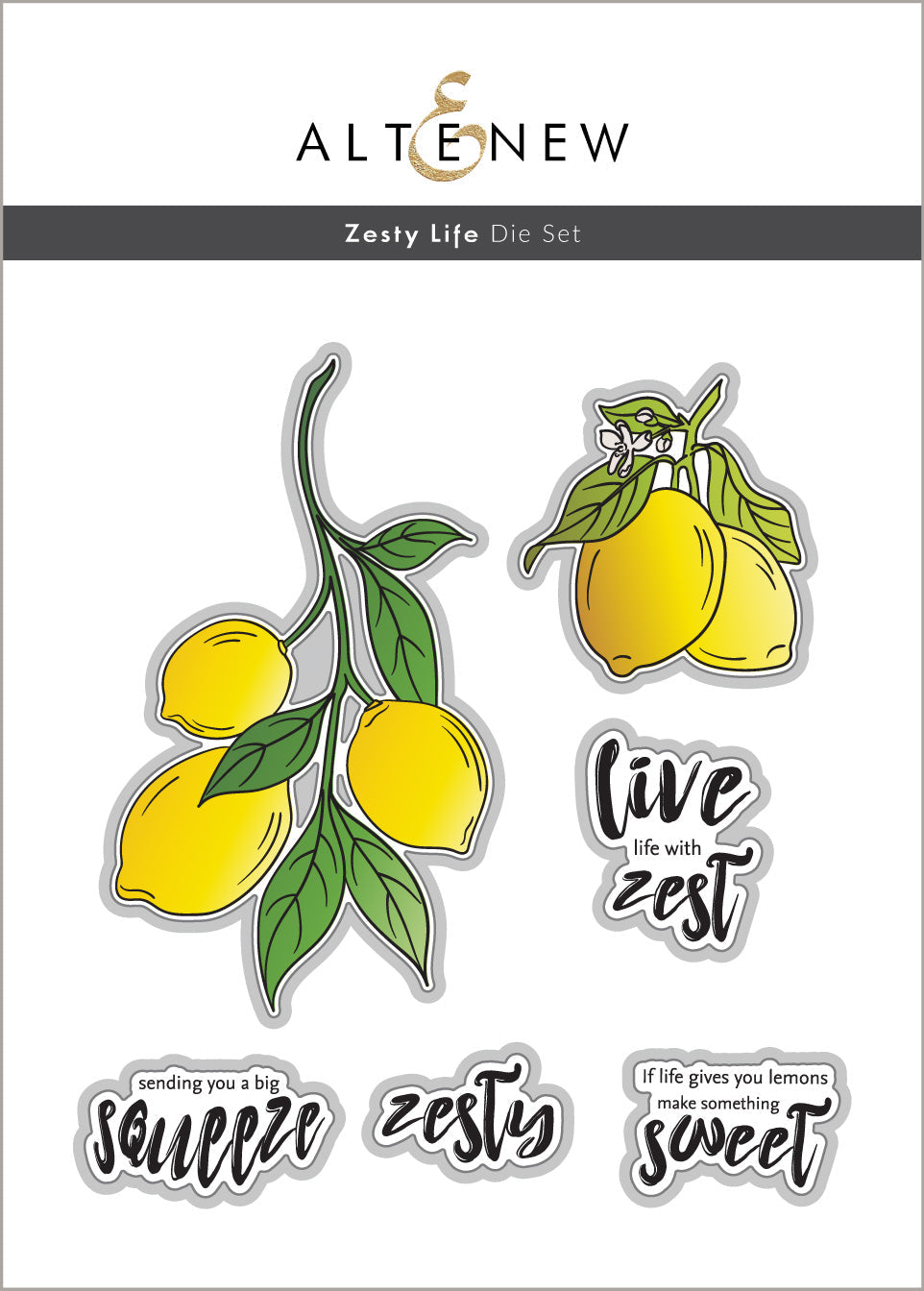 Stamp & Die & Stencil Bundle Zesty Life