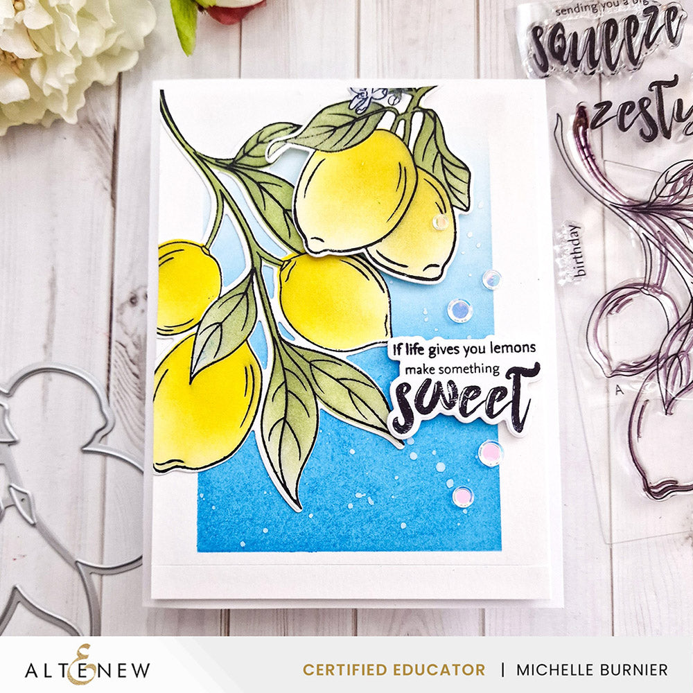 Stamp & Die & Stencil Bundle Zesty Life