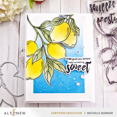 Stamp & Die & Stencil Bundle Zesty Life
