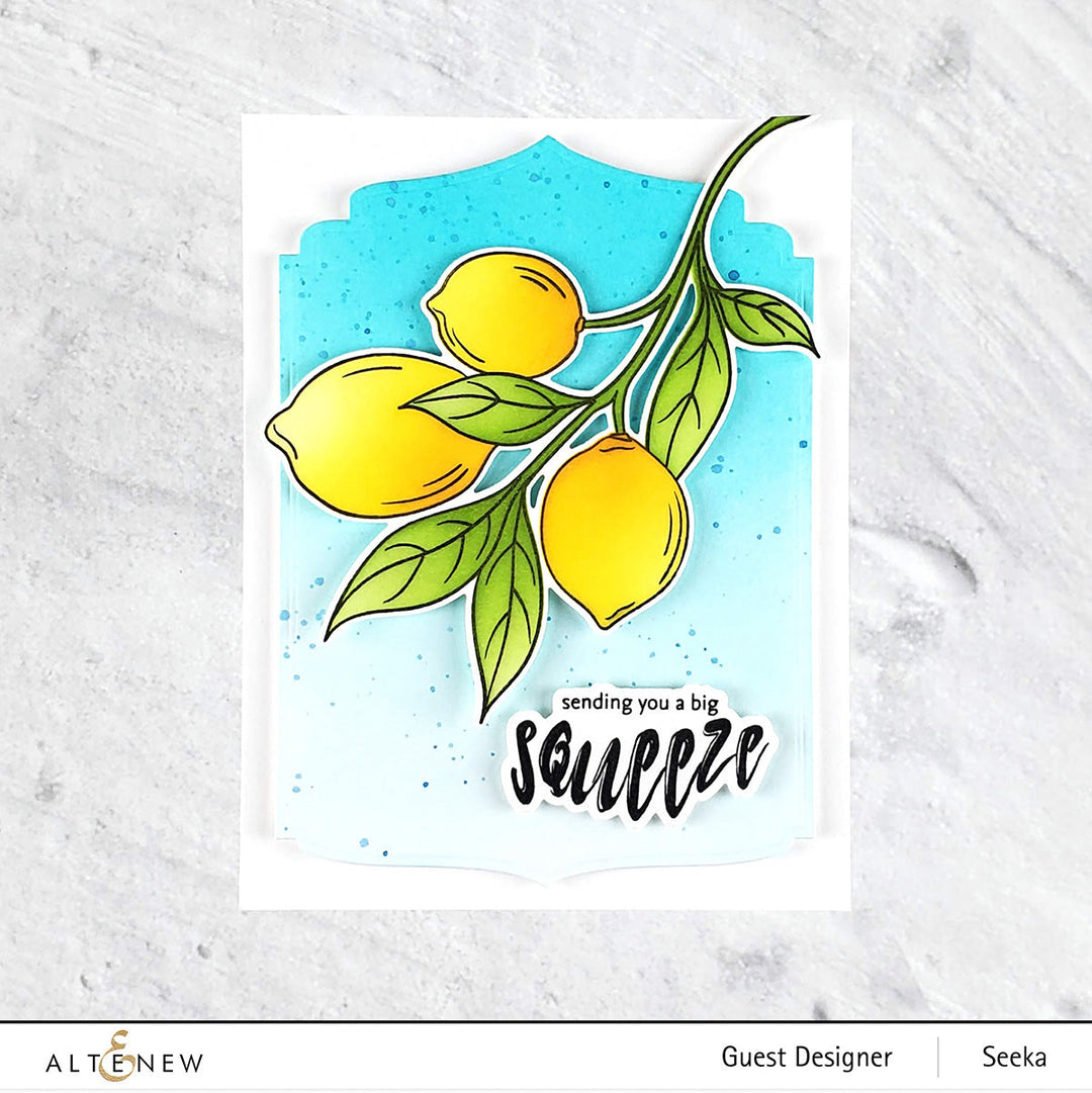 Stamp & Die & Stencil Bundle Zesty Life