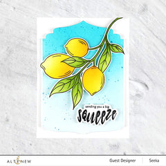 Stamp & Die & Stencil Bundle Zesty Life