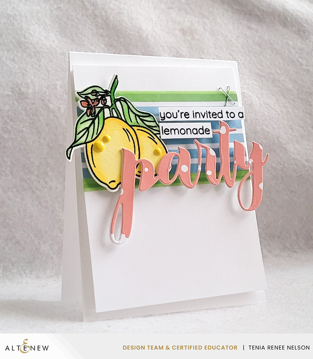 Stamp & Die & Stencil Bundle Zesty Life