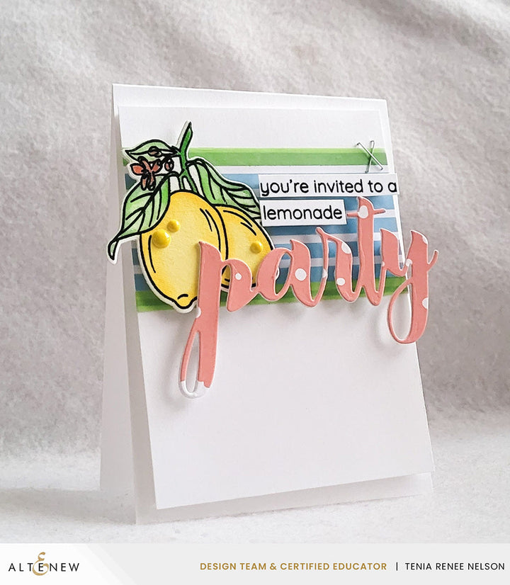 Stamp & Die & Stencil Bundle Zesty Life