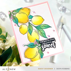 Stamp & Die & Stencil Bundle Zesty Life