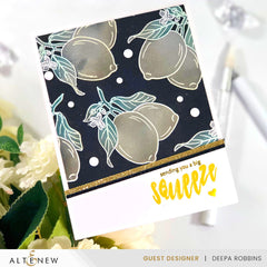 Stamp & Die & Stencil Bundle Zesty Life