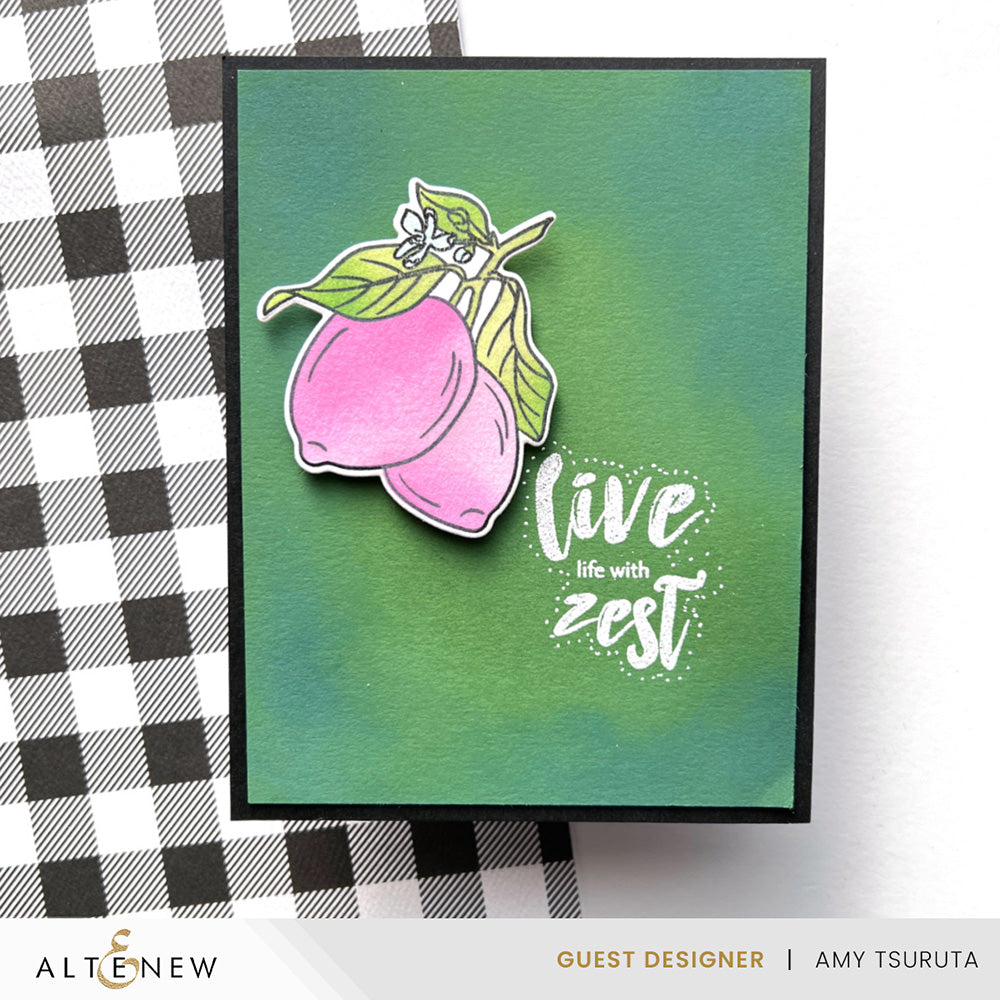 Stamp & Die & Stencil Bundle Zesty Life