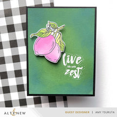 Stamp & Die & Stencil Bundle Zesty Life