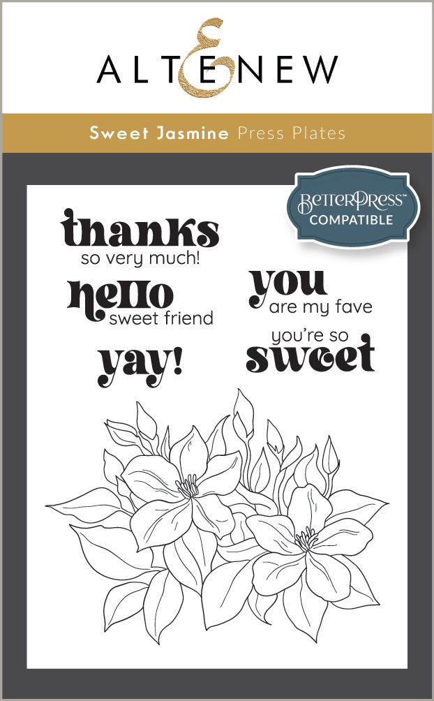 Stamp & Die & Stencil & Embossing Folder & Betterpress Plate Bundle Sweet Jasmine