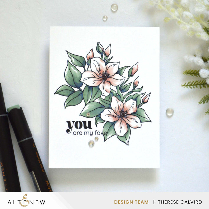 Stamp & Die & Stencil & Embossing Folder & Betterpress Plate Bundle Sweet Jasmine