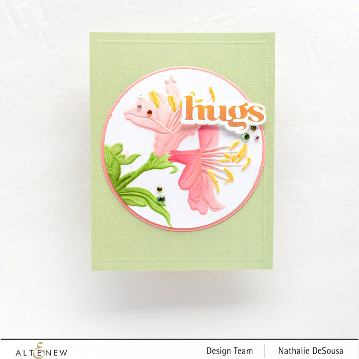 Stamp & Die & Stencil & Embossing Folder Bundle Happy Hummingbird