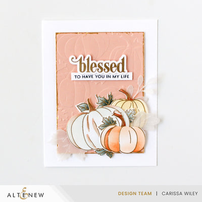 Stamp & Die & Stencil & Embossing Folder Bundle One-Go: Sweet Pumpkins