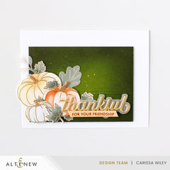 Stamp & Die & Stencil & Embossing Folder Bundle One-Go: Sweet Pumpkins