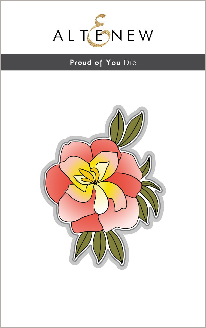 Stamp & Die & Stencil & Embossing Folder Bundle Proud Of You