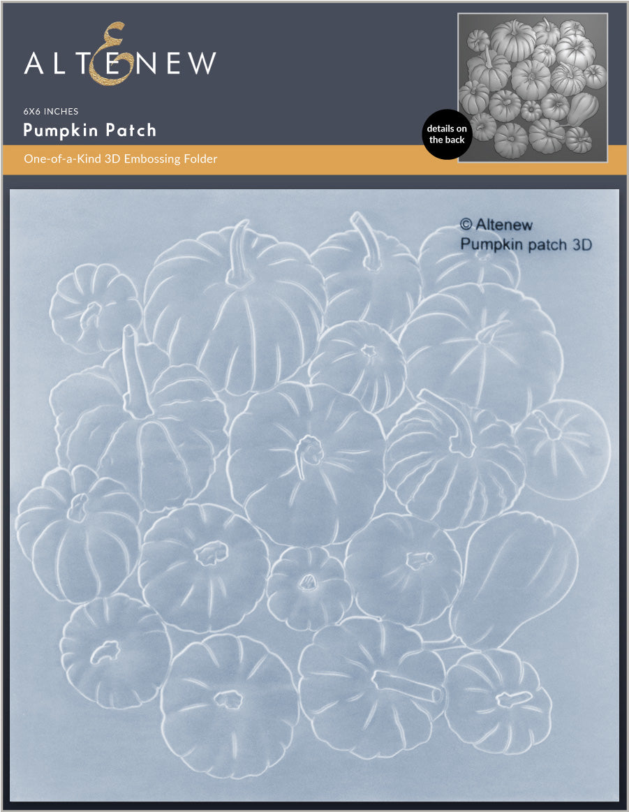 Stamp & Die & Stencil & Embossing Folder Bundle Pumpkin Patch