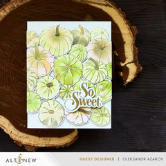 Stamp & Die & Stencil & Embossing Folder Bundle Pumpkin Patch