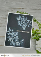 Stamp & Die & Stencil & Embossing Folder Bundle Sweet Spray
