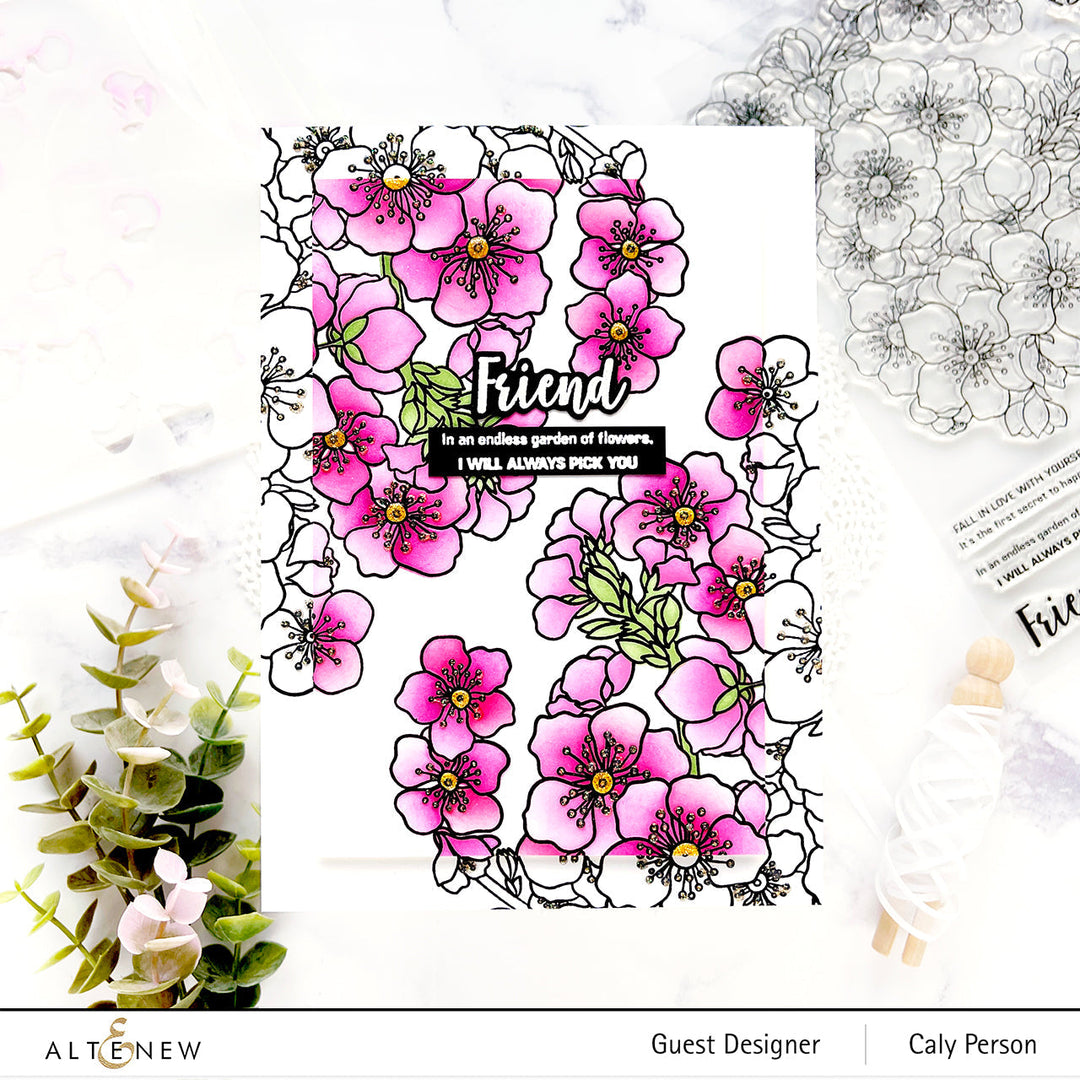 Stamp & Stencil Bundle Captivating Blooms