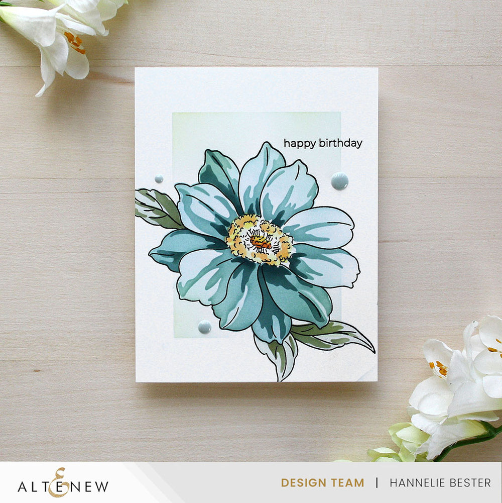 Stamp & Stencil Bundle Twin Blooms