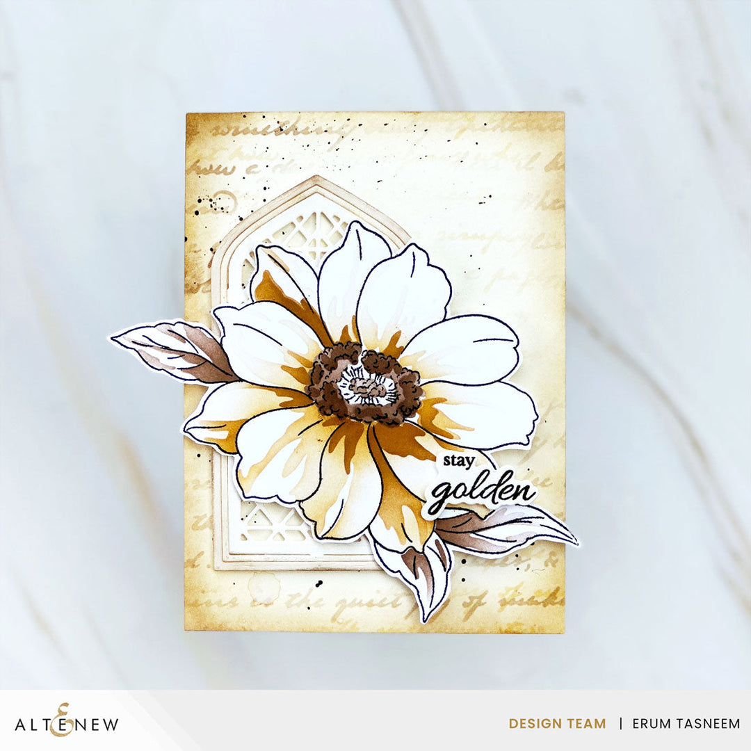 Stamp & Stencil Bundle Twin Blooms