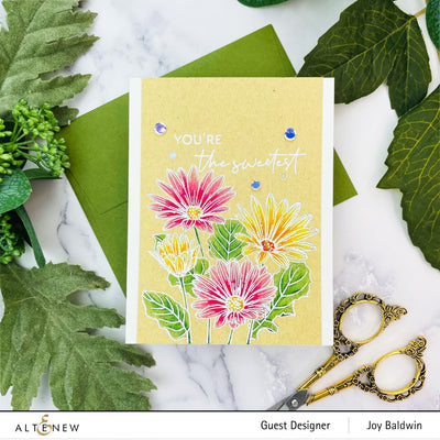 Stamp & Watercolor Bundle Paint-A-Flower: African Daisy & Artists' Watercolor 24 Pan Set Bundle