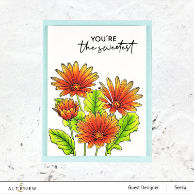 Stamp & Watercolor Bundle Paint-A-Flower: African Daisy & Artists' Watercolor 24 Pan Set Bundle