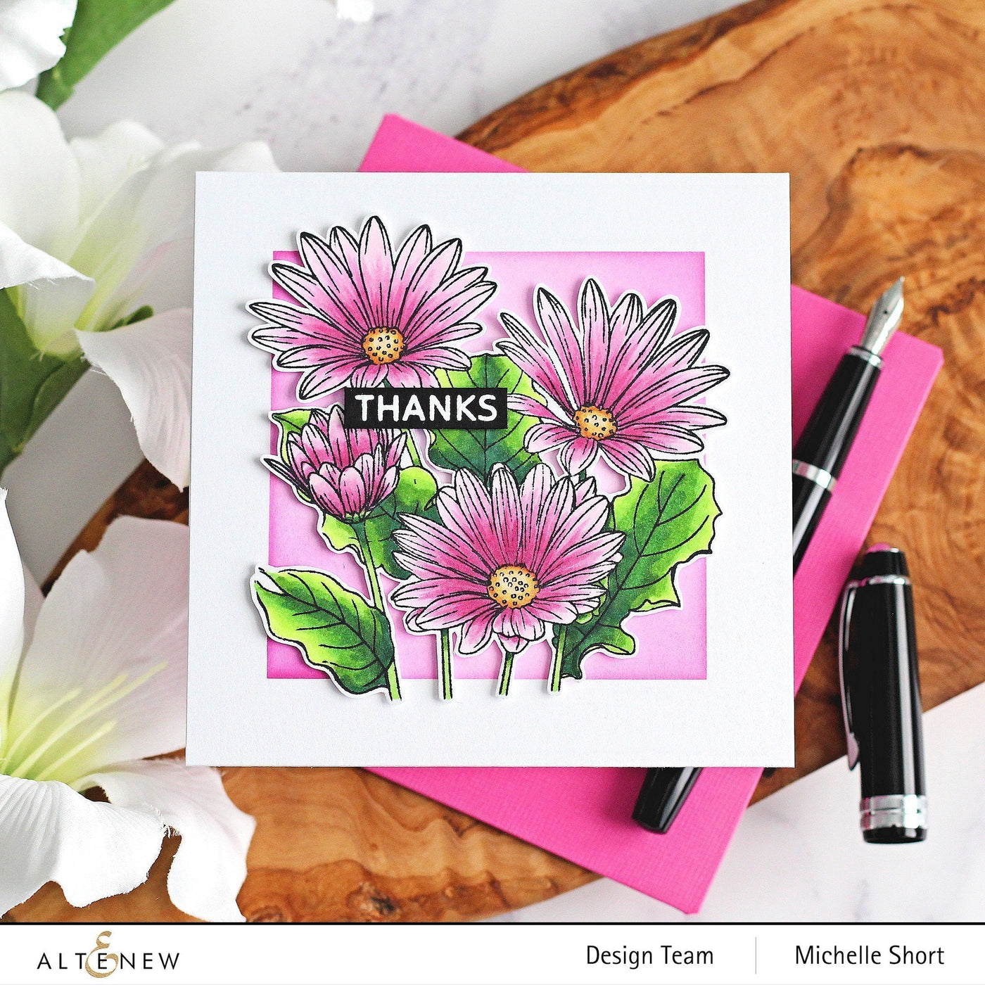 Stamp & Watercolor Bundle Paint-A-Flower: African Daisy & Artists' Watercolor 24 Pan Set Bundle