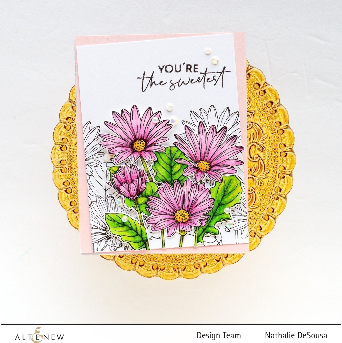 Stamp & Watercolor Bundle Paint-A-Flower: African Daisy & Artists' Watercolor 24 Pan Set Bundle