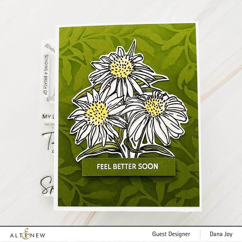 Stamp & Watercolor Bundle Paint-A-Flower: White Swan Echinacea & Artists' Watercolor 24 Pan Set Bundle