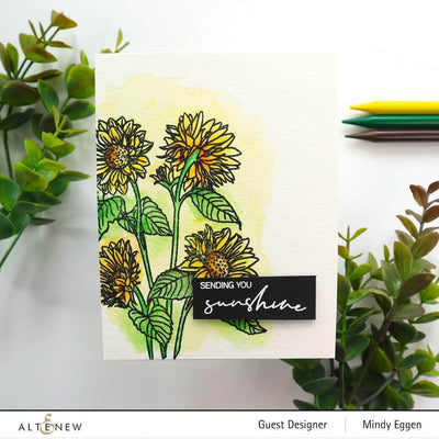 Stamp & Watercolor Bundle Sunflower Outline Stamp Set & Woodless Watercolor Pencils Bundle