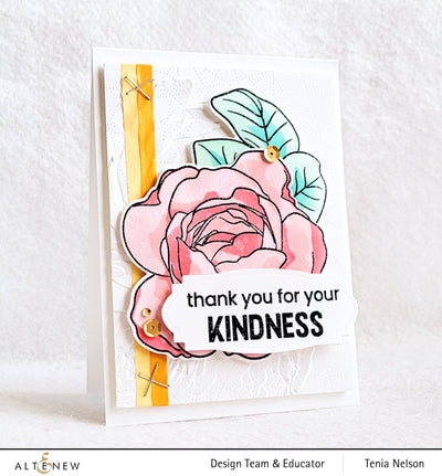 Stencil Ambridge Rose Simple Coloring Stencil Set (4 in 1)