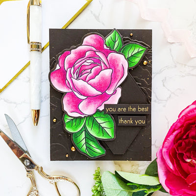 Stencil Ambridge Rose Simple Coloring Stencil Set (4 in 1)