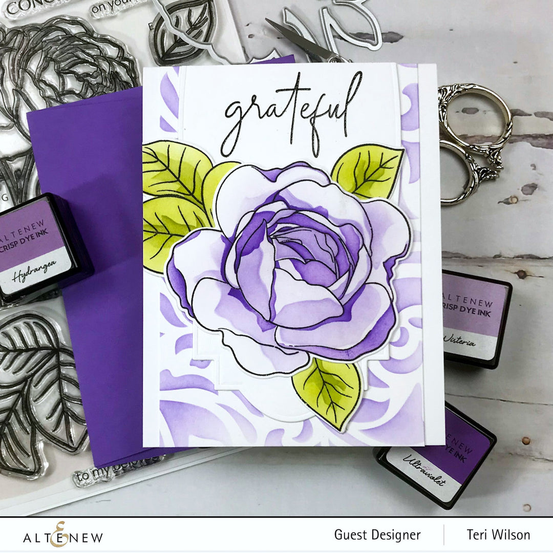 Stencil Ambridge Rose Simple Coloring Stencil Set (4 in 1)