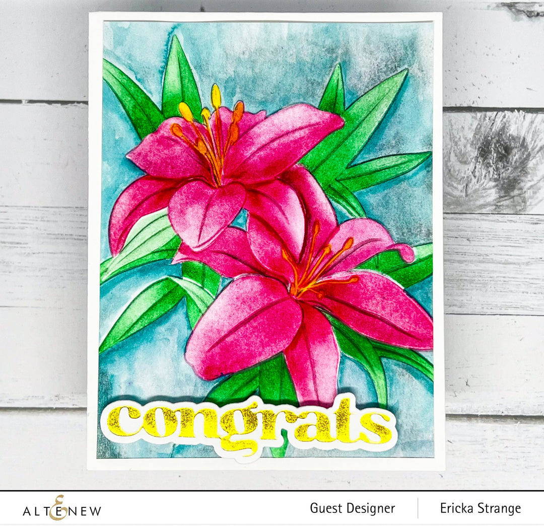 Stencil & Die & Embossing Folder Bundle Dreamy Daylilies