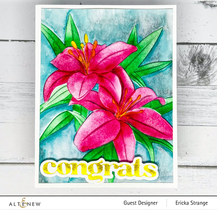 Stencil & Die & Embossing Folder Bundle Dreamy Daylilies
