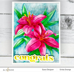 Stencil & Die & Embossing Folder Bundle Dreamy Daylilies