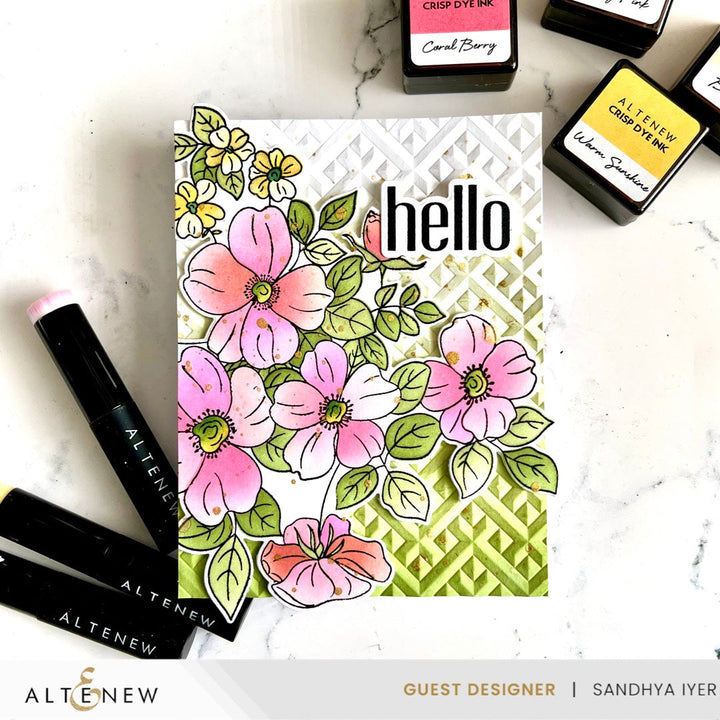 Stencil & Die & Embossing Folder Bundle Flutter & Bloom