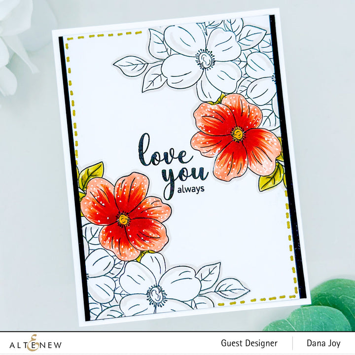 Stencil & Die & Embossing Folder Bundle Flutter & Bloom