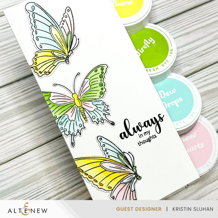 Stencil & Die & Embossing Folder Bundle Flutter & Bloom