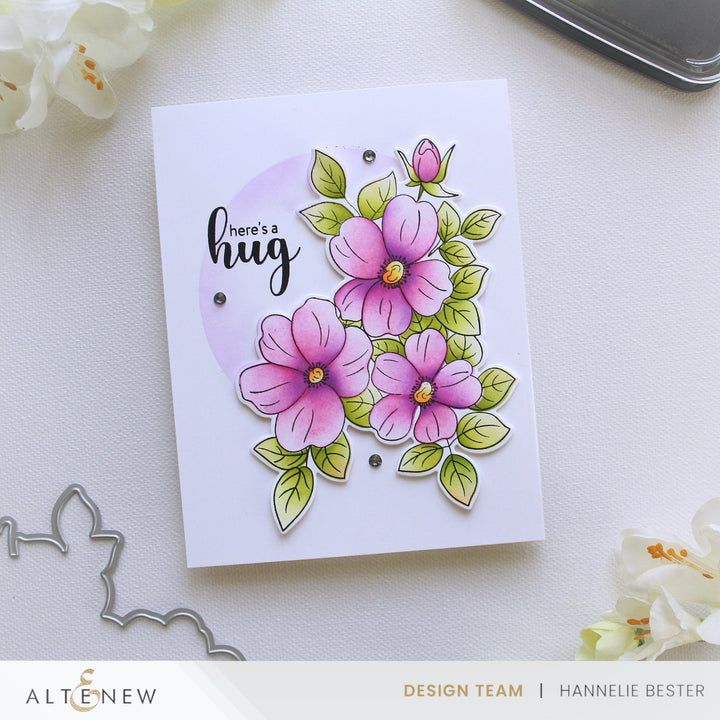 Stencil & Die & Embossing Folder Bundle Flutter & Bloom